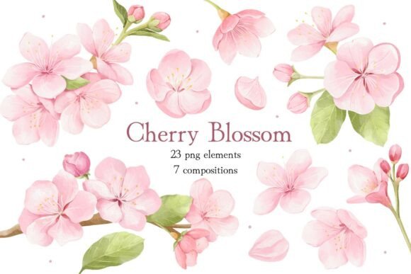 Download Watercolor Cherry Blossom Clipart - Art Collection