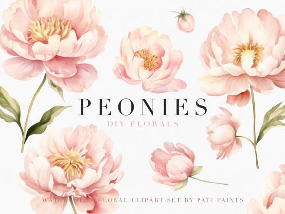 Download Watercolor Dusty Pink Peonies Cliparts - Art Collection