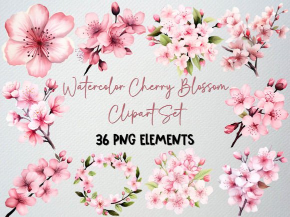 Download Watercolor Cherry Blossom Clipart,36 PNG - Art Collection
