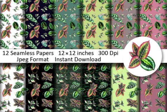 Download Watercolor Beautyful Leaves Seamless - Leaves Collection