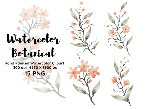 Download Watercolor Botanical Clipart PNG - Art Collection