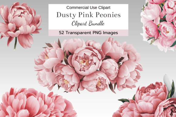 Download Dusty Pink Peony Clipart Bundle - Art Collection